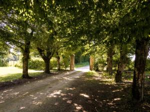 Maisons de vacances Modern Cottage in Chaleix with Swimming Pool : photos des chambres