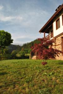 Планински кът