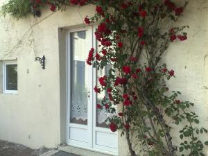 Appartements Petit Cerisier : photos des chambres
