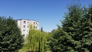 Apartament Turkusowy RucianeNida