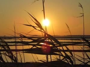 Appartamento Scarlatti