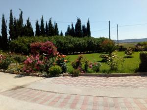 Il Giardino delle Rose A img62