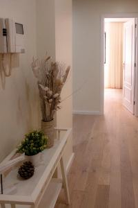 Apartment Trindade Way