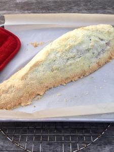 Kompleksi Turistik EDIR