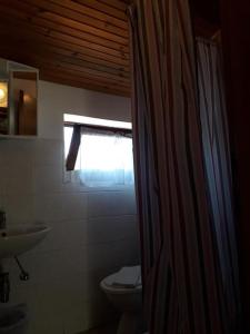 Apartments by the sea Suha Punta, Rab - 5050