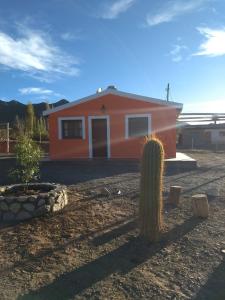 Cabaña Los Molles