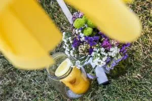 Онгъл запад - Kŭrpachevo