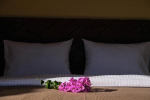 Villa & Apartments Perasto