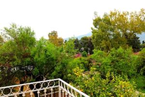 luxurious apartments Angelina