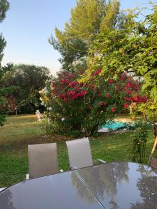 Sejours chez l'habitant Lou Parpaillou : Chambre Lit King-Size - Vue sur Piscine 