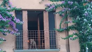 Holiday House Camillina