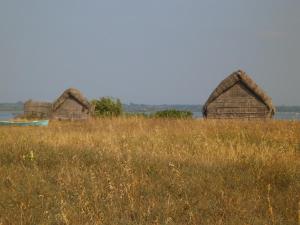 B&B / Chambres d'hotes Au Bougainvillier : photos des chambres