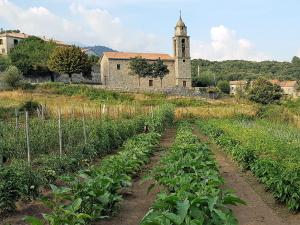 Maison dHôtes Zella