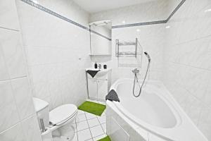 apartmány 2+1 u Klínovce
