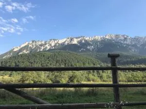 Pensiunea Kyfana Zarnesti - 泽尔内什蒂