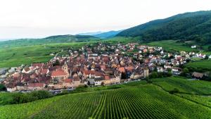 Maisons de vacances Le B. VINTAGE : photos des chambres