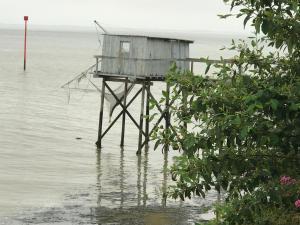 Maisons de vacances Les Tremieres : photos des chambres