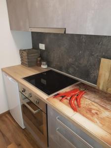 Apartments Mojstrana - Kekec