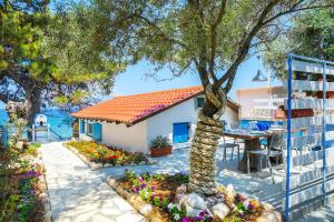 Agyrovoli Bungalow Thassos Greece