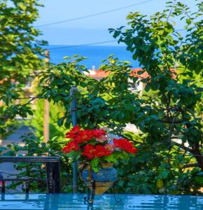 Johnie's Villa Skopelos Greece