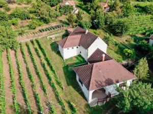 Hillside Vendégház a Szent György-hegyen