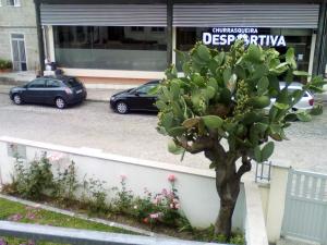 Home Sleep Home Fafe