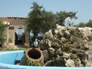 Irides Aegina Greece