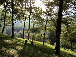 Dtente sky lodge