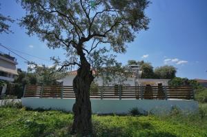 Arete House Thassos Greece