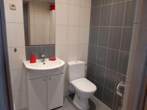 Apartament u Basi