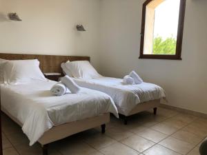 Mas Jolie Garrigue photo 12