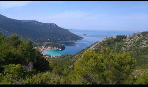 Marinja Studio
