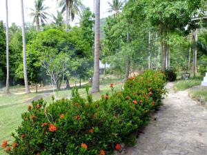 Seashell Coconut Village Koh Tao