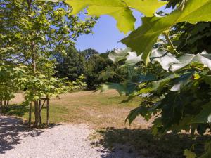 Cottage in Aquitaine with garden