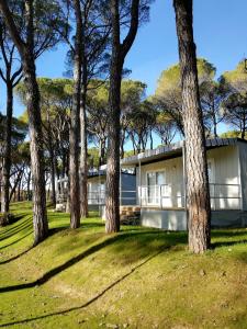Mobile Home room in Belvedere Pineta Camping Village Grado