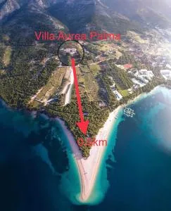 Villa Aurea Palma - 穆尔维察