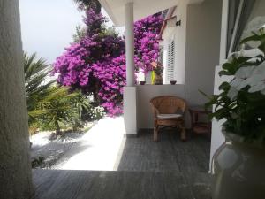 Apartmani Ivić Paka Rab 