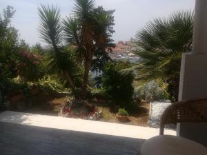 Apartmani Ivić Paka Rab