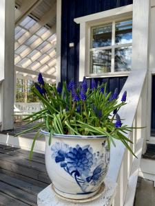 Blueberry Villa at Saimaa Lakeside