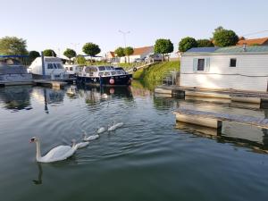 Bateaux-hotels Cottage insolite option jacuzzi Seurre proche Beaune vue panoramique sur l'eau : photos des chambres