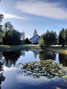 Talu Calm Nature Oasis Just a few km from Kaunas city Neveronys Leedu