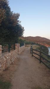 Camp Maslina