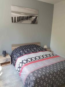 Appartements Le cosy d’Amboise : photos des chambres