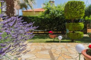 Family resort in Nea Vrasna