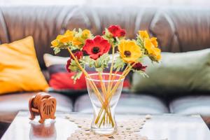 Gallery home,Downtown, Ioannina.