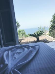 One-Bedroom Apartment room in Villa Colombo