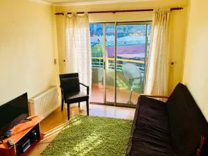 Depto en pleno centro con estacionamiento - Pucón