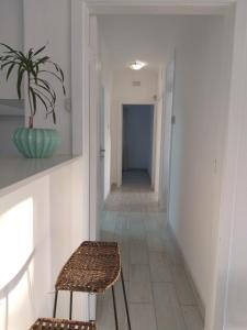 Danville Forest Guest House & Apartments