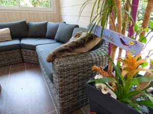 Maisons de vacances Villa piscine chauffee & spa sur le Bassin d Arcachon - proche plage et ocean : photos des chambres