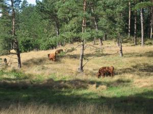 Dejligt feriehus med Panoramaudsigt